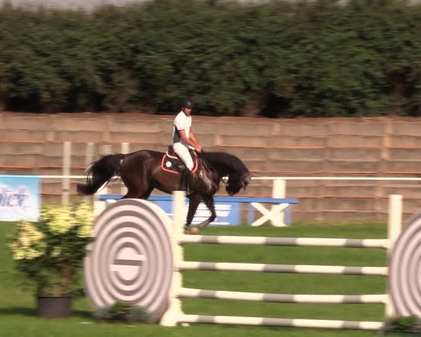 Reitturnier Baschütz bei Bautzen 2019