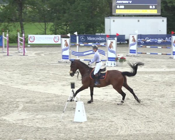 Summer Masters Maienfeld 2019