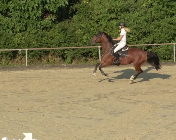 Reitturnier Leingarten 2021