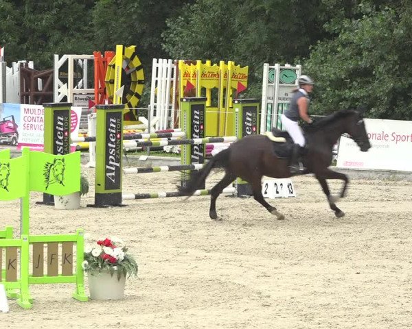Summer Masters Maienfeld 2019