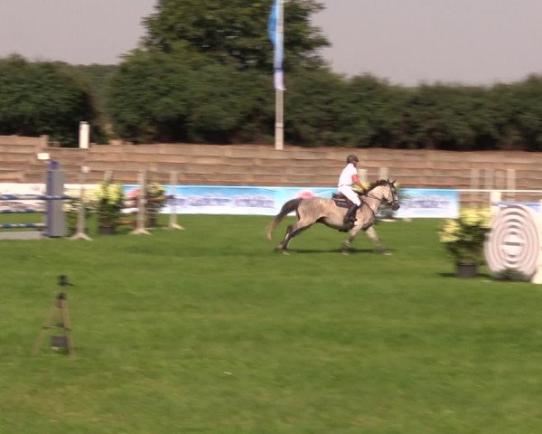 Reitturnier Baschütz bei Bautzen 2019