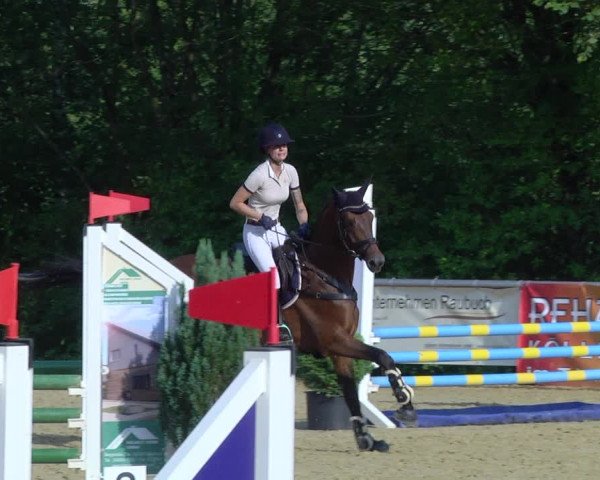 Reitturnier Püttlingen 2019