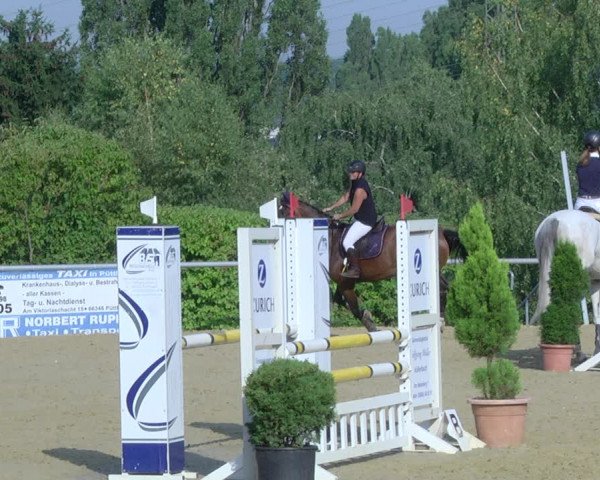 Reitturnier Püttlingen 2019