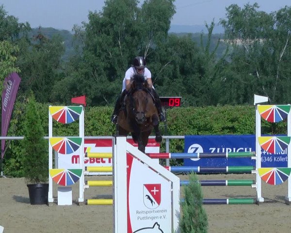 Reitturnier Püttlingen 2019