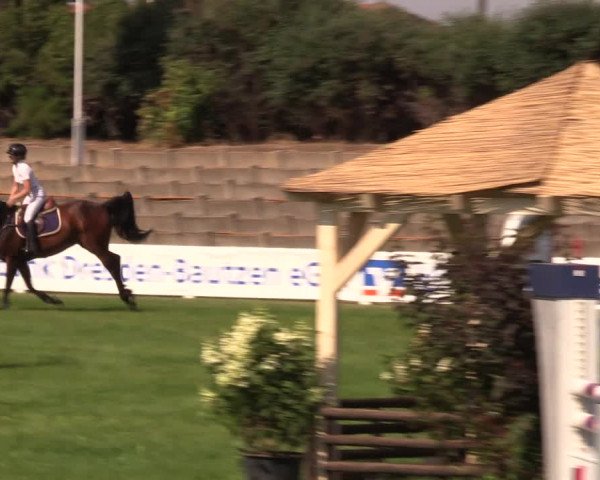 Reitturnier Baschütz bei Bautzen 2019
