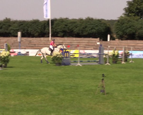Reitturnier Baschütz bei Bautzen 2019