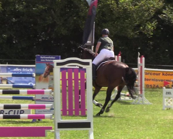 Reitturnier Felmerholz 2019