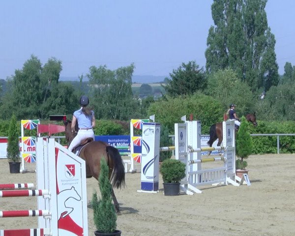 Reitturnier Püttlingen 2019