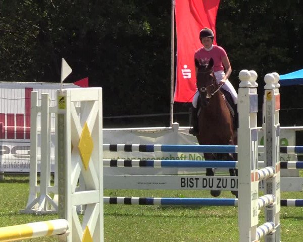 Reitturnier Felmerholz 2019