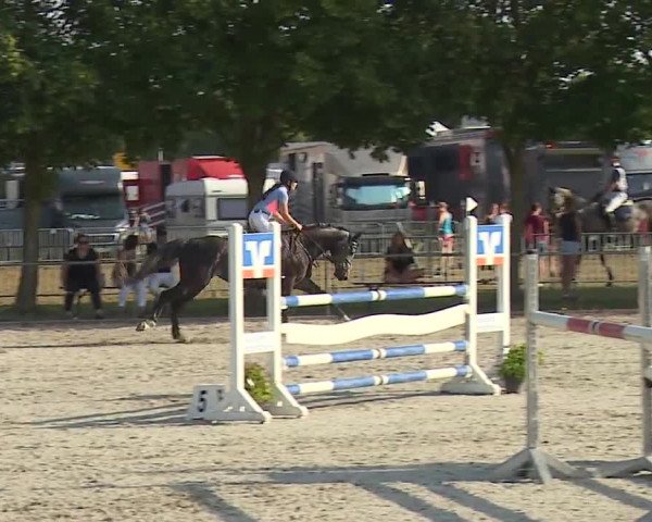 Reitturnier Rot am See- Musdorf 2019