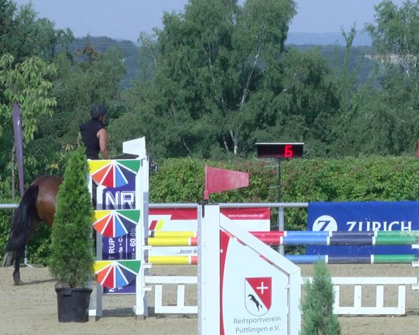 Reitturnier Püttlingen 2019