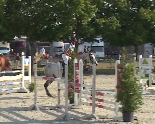 Reitturnier Rot am See- Musdorf 2019