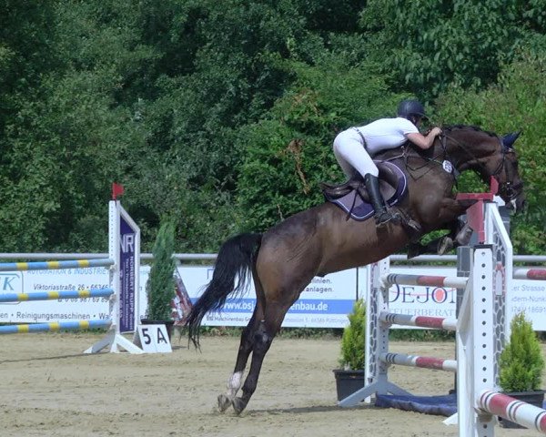 Reitturnier Püttlingen 2019
