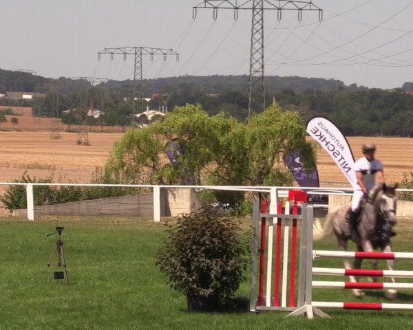Reitturnier Baschütz bei Bautzen 2019