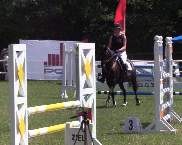 Reitturnier Felmerholz 2019
