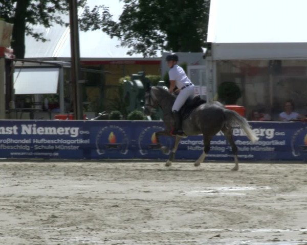 Westfalen-Woche 2019