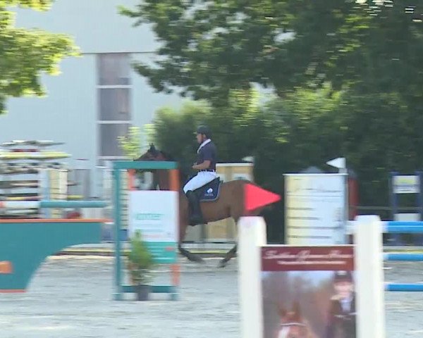 Reitturnier Rot am See- Musdorf 2019