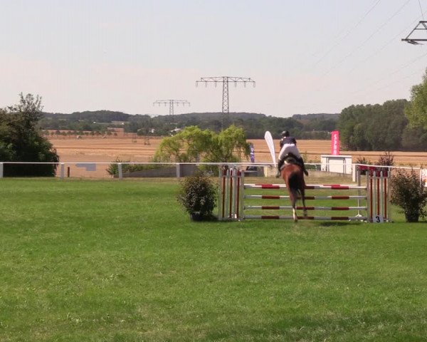 Reitturnier Baschütz bei Bautzen 2019