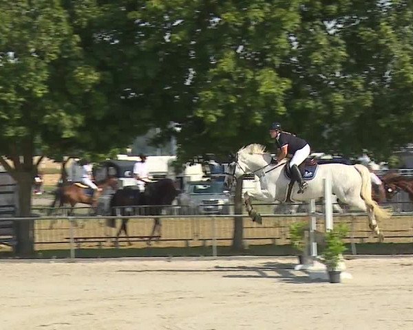 Reitturnier Rot am See- Musdorf 2019