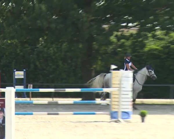 Reitturnier Rot am See- Musdorf 2019