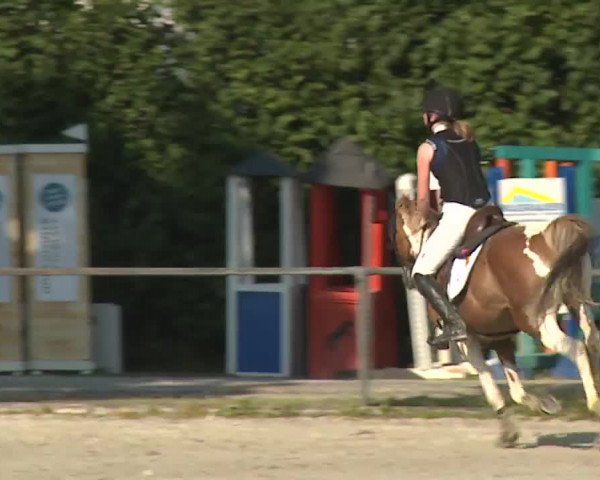 Reitturnier Rot am See- Musdorf 2019