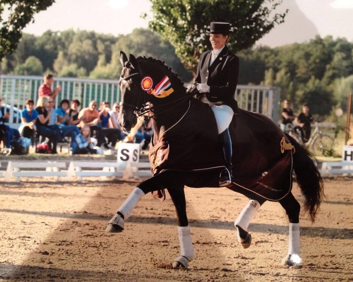 dressage horse Forint 8 (Trakehner, 2001, from Tannenhof's Solero TSF)