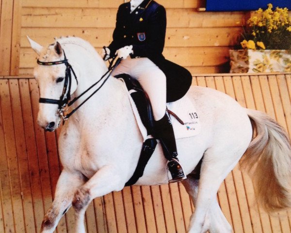 horse Marc Antonius (Trakehner, 1990, from Arrak)