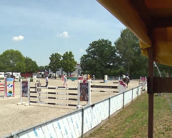 Reitturnier Rot am See- Musdorf 2019