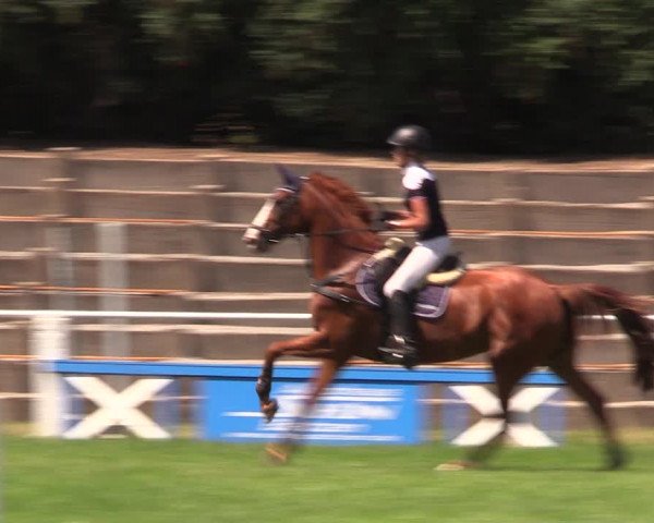 Reitturnier Baschütz bei Bautzen 2019