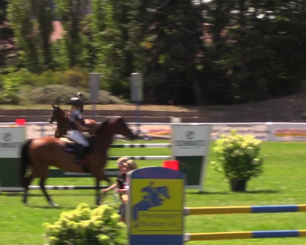 Reitturnier Baschütz bei Bautzen 2019