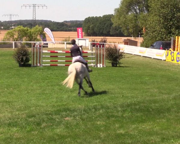 Reitturnier Baschütz bei Bautzen 2019