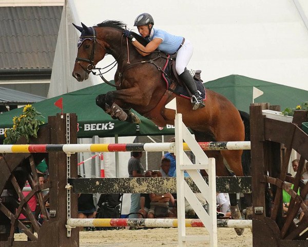 jumper Dyllen (KWPN (Royal Dutch Sporthorse), 2008, from Zacharov Tn)