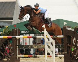 Springpferd Dyllen (KWPN (Niederländisches Warmblut), 2008, von Zacharov Tn)
