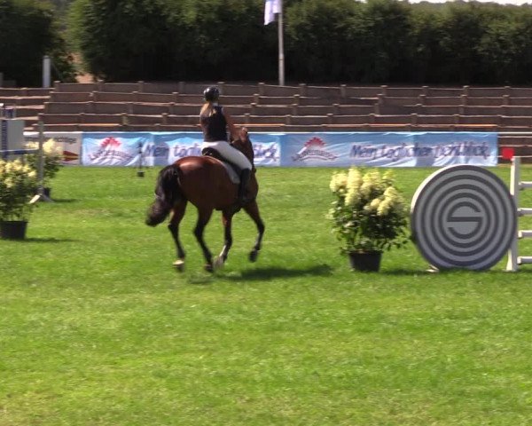 Reitturnier Baschütz bei Bautzen 2019