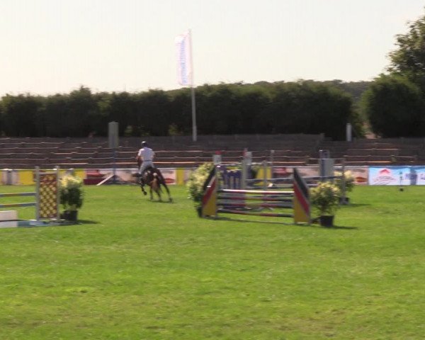 Reitturnier Baschütz bei Bautzen 2019