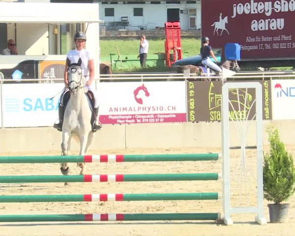 Reitturnier Schwyz 2019