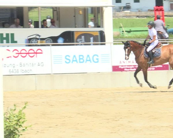 Reitturnier Schwyz 2019