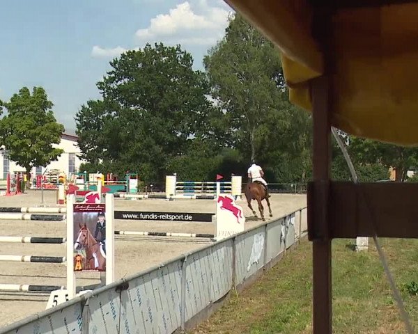 Reitturnier Rot am See- Musdorf 2019