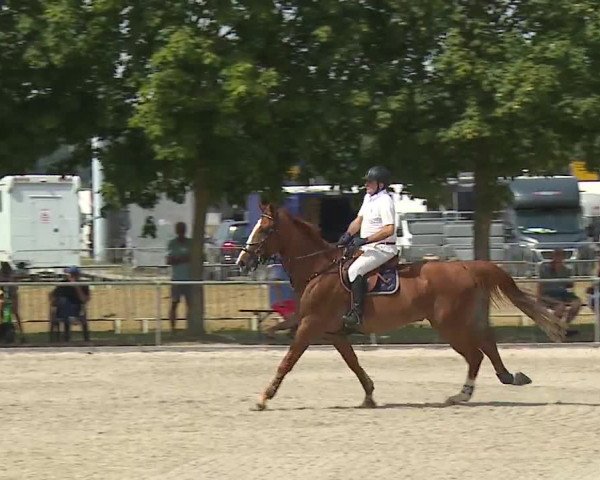 Reitturnier Rot am See- Musdorf 2019