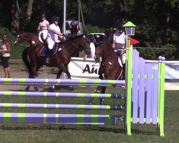 Reitturnier Felmerholz 2019
