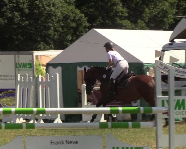 Reitturnier Felmerholz 2019
