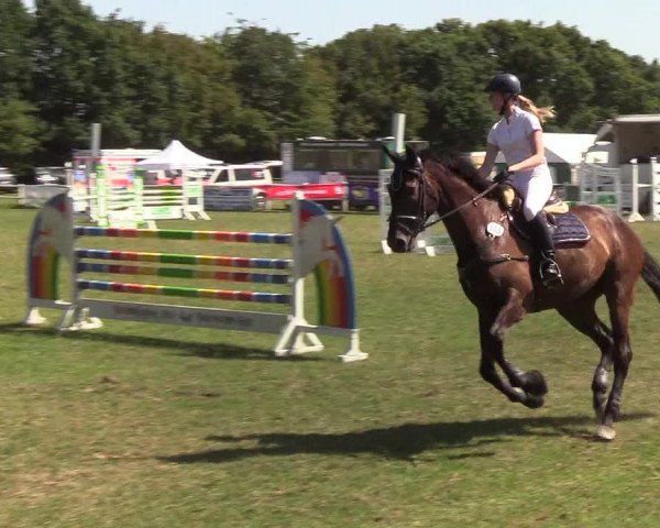 Reitturnier Felmerholz 2019