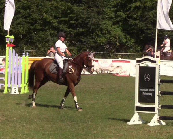 Reitturnier Felmerholz 2019