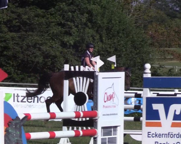 Reitturnier Felmerholz 2019