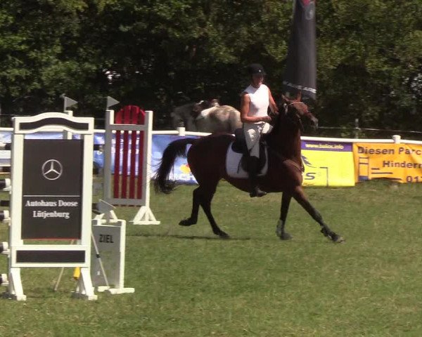 Reitturnier Felmerholz 2019