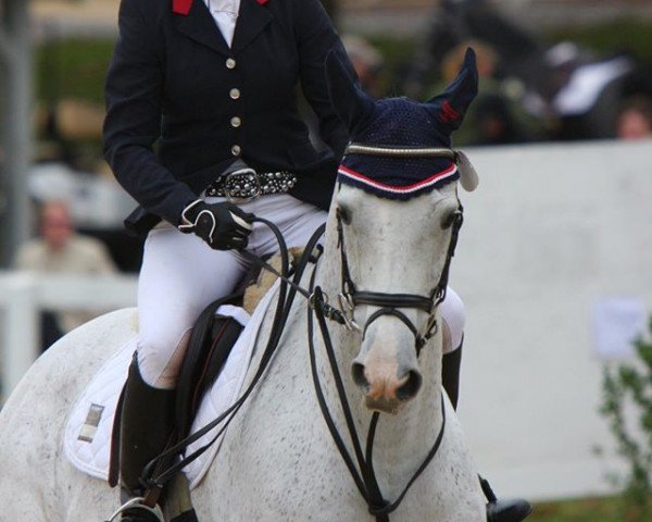horse Fine with Me xx (Thoroughbred, 2003, from With Approval xx)