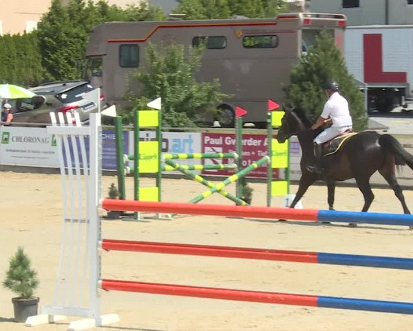 Reitturnier Schwyz 2019