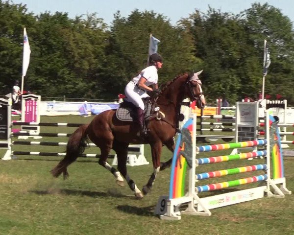 Reitturnier Felmerholz 2019