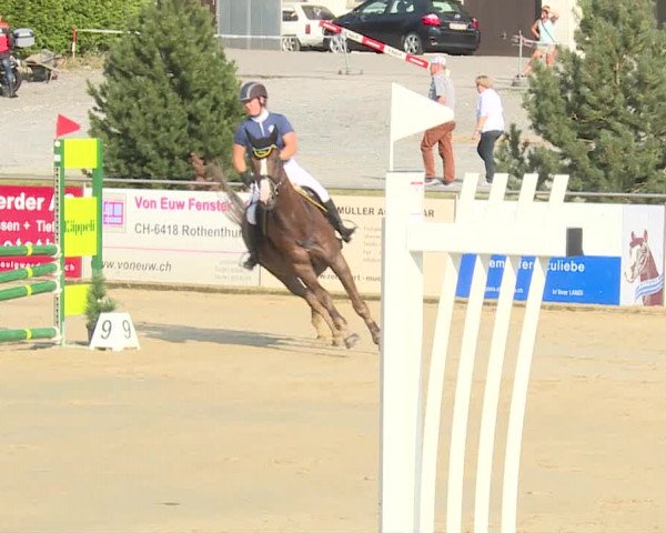 Reitturnier Schwyz 2019