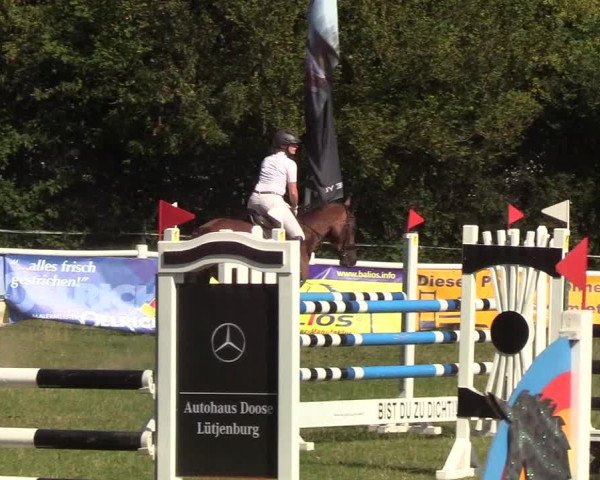 Reitturnier Felmerholz 2019